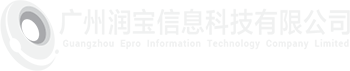 Guangzhou Epro Information Technology Company Ltd.